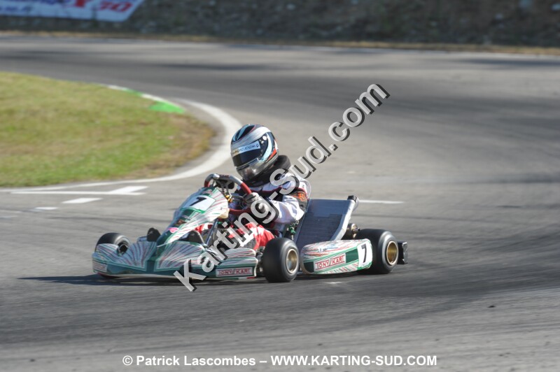 DSC_ (1505).JPG